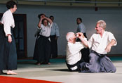 dojo aikido girona