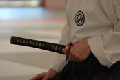 dojo aikido girona