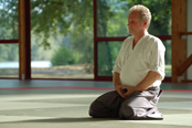 dojo aikido girona