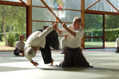 dojo aikido girona