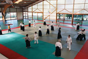 dojo aikido girona