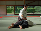 qui som - dojo aikido girona